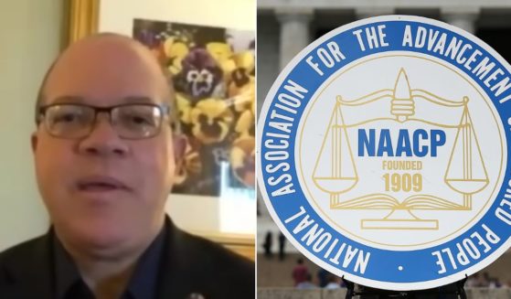 Mike Hill, a business owner in Florida, criticizes the NAACP in a recent Fox News interview.