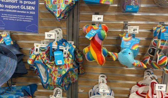 Pet toys themed for gay "pride" on sale at a PetSmart.