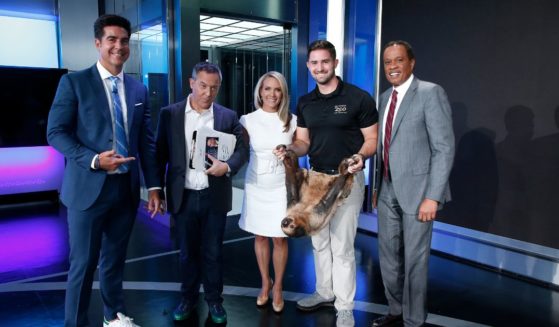 Fox cohosts of "The Five" Jesse Watters, Greg Gutfeld, Dana Perino and Juan Williams welcome Columbus Zoo for Animals Are Great Segment at Fox News Channel Studios on September 12, 2019 in New York City.