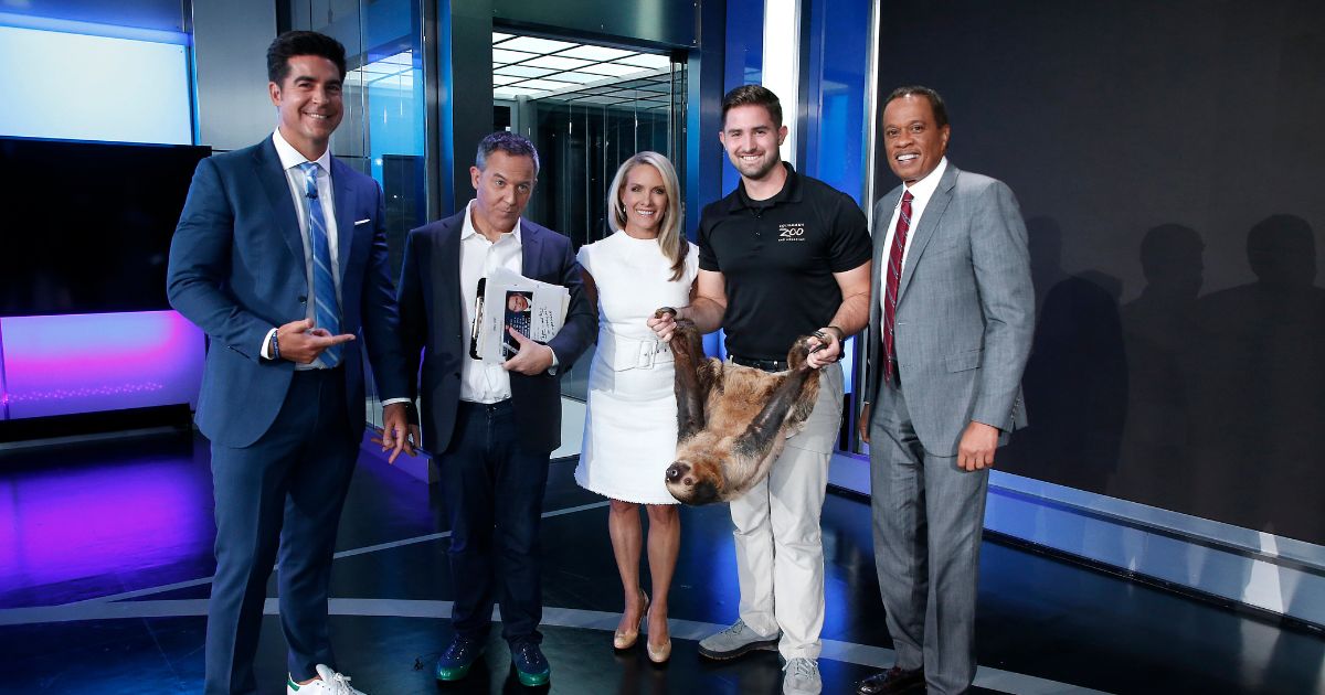 Fox cohosts of "The Five" Jesse Watters, Greg Gutfeld, Dana Perino and Juan Williams welcome Columbus Zoo for Animals Are Great Segment at Fox News Channel Studios on September 12, 2019 in New York City.