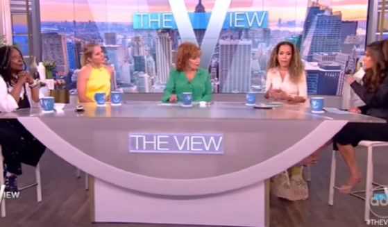 Panelists on "The View" on Tuesday.