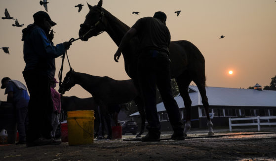 The sun is obscured by haze caused by northern wildfires as horses are bathed ahead of the Belmont Stakes horse race, Thursday, June 8, 2023, at Belmont Park in Elmont, N.Y. Training was cancelled for the day due to poor air quality.