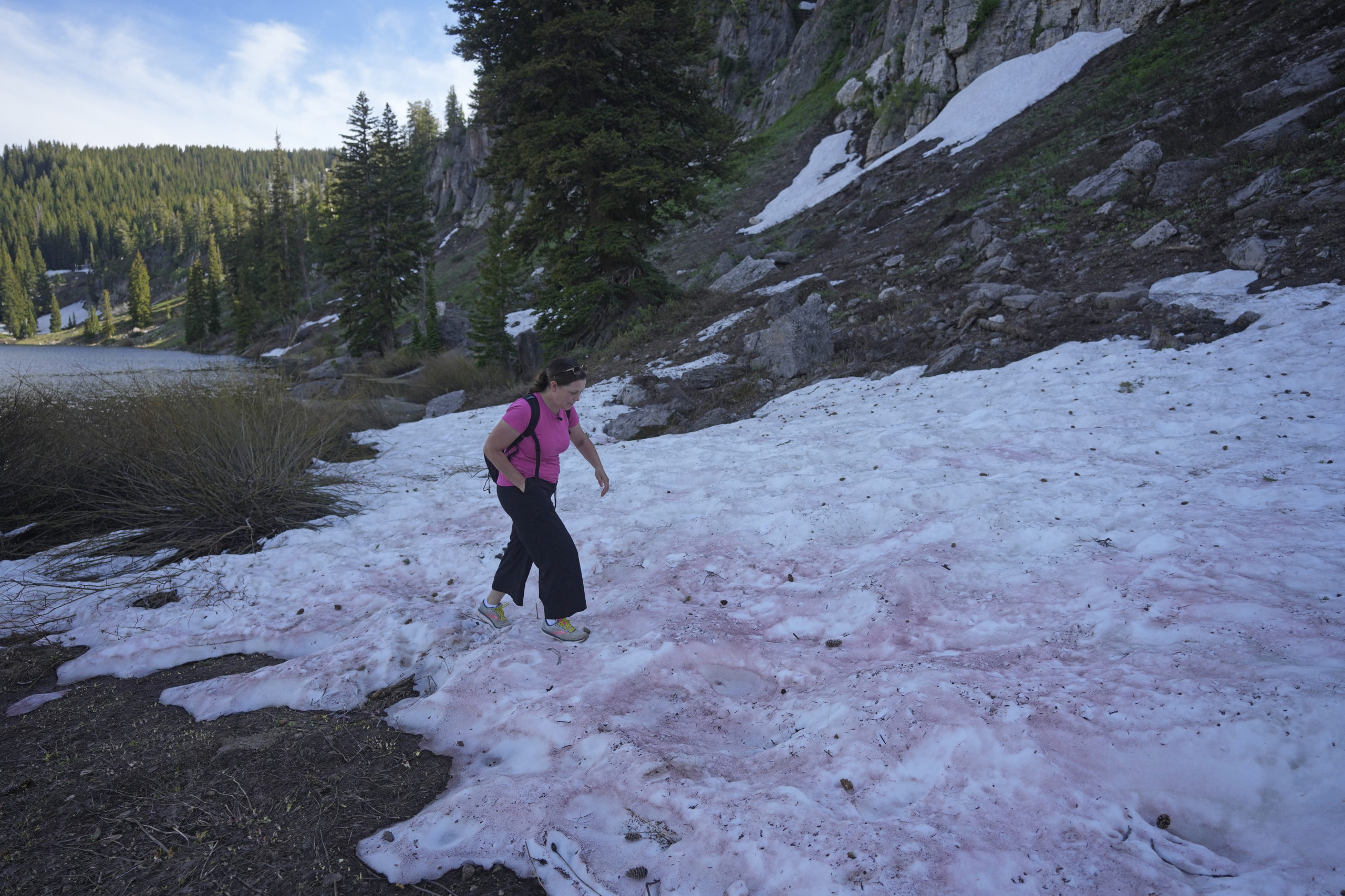 Jana Brough walks across pink-hued snow at Tony Grove Lake on Wednesday, near Logan, Utah. The snow's color has piqued the curiosity of hikers and campers throughout Utah this summer.