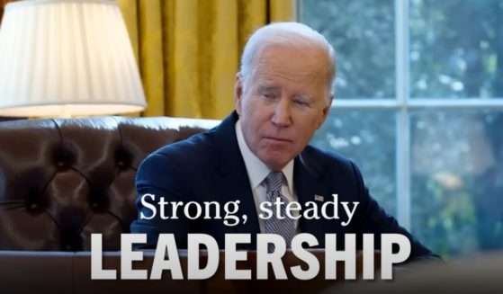 President Joe Biden is seen in a new ad from the Democratic Party.