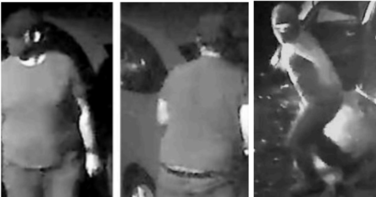 arson suspects as captured on video