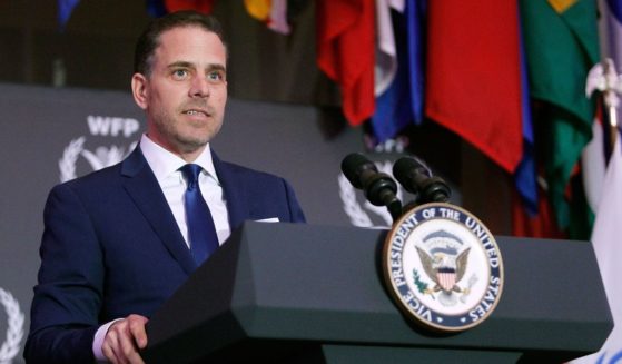 Hunter Biden, seen in a 2016 file photo, enjoyed a sumptuous gourmet meal at a state dinner Thursday night, rubbing shoulders with celebrities instead of jailbirds after his sweetheart plea deal with his father's Department of Justice was announced.