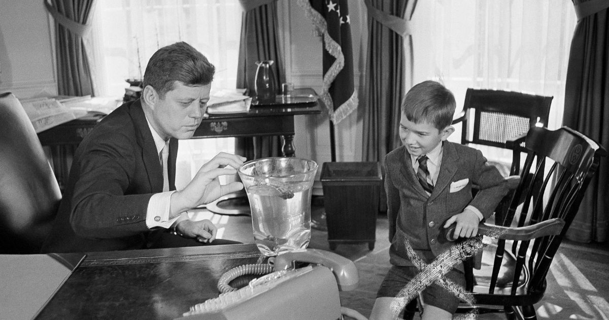 Robert Kennedy Jr., 7, lifts a salamander named Shadrach from a vase in Uncle John F. Kennedy's presidential office March 11, 1961.