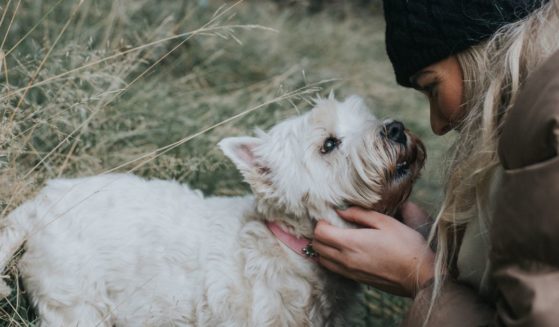 A dog owner interacts tenderly with her West Highland White Terrier in this stock photo. According to an author of a new study, "Our dogs, like us, benefit greatly from social bonds and social connectedness.”