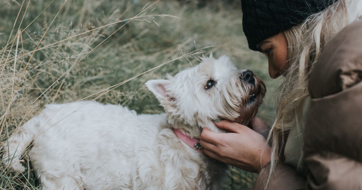 A dog owner interacts tenderly with her West Highland White Terrier in this stock photo. According to an author of a new study, "Our dogs, like us, benefit greatly from social bonds and social connectedness.”