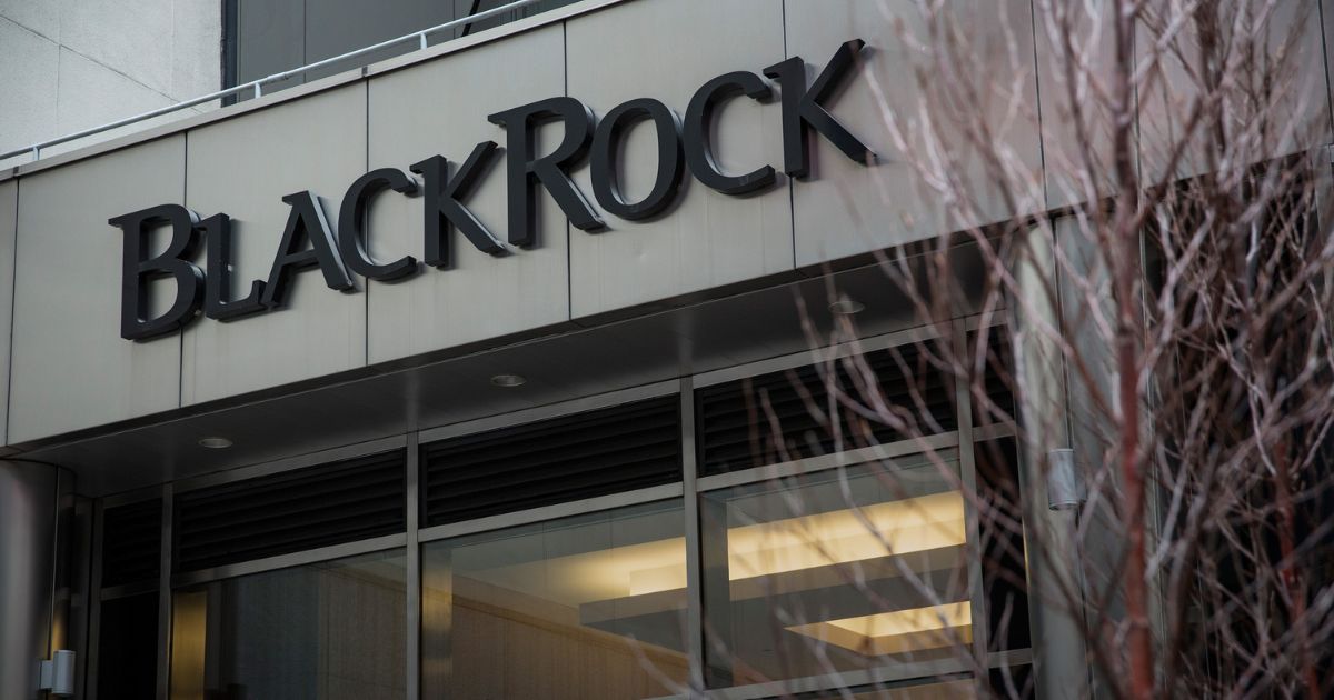 Video reveals BlackRock recruiter boasting about ease of ‘buying a Senator’