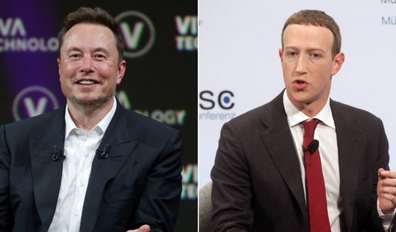 Tesla CEO Elon Musk, left, and Meta CEO Mark Zuckerberg could potentially fight one another.