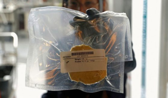 A technician displays a lab-grown chicken meat in a sealed bag at the food-tech startup SuperMeat in the central Israeli town of Ness Ziona on June 18, 2021.