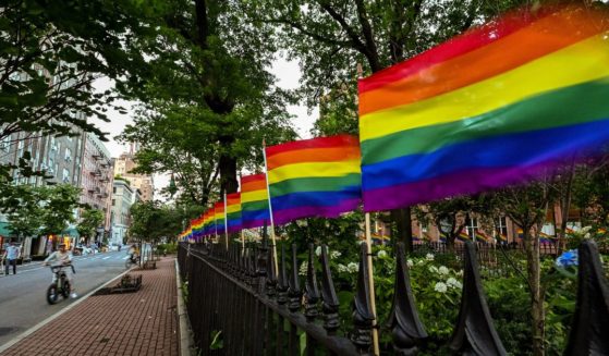 LBGT flags are lined up in a row decorate Christopher Park on June 22, 2020, in New York City.