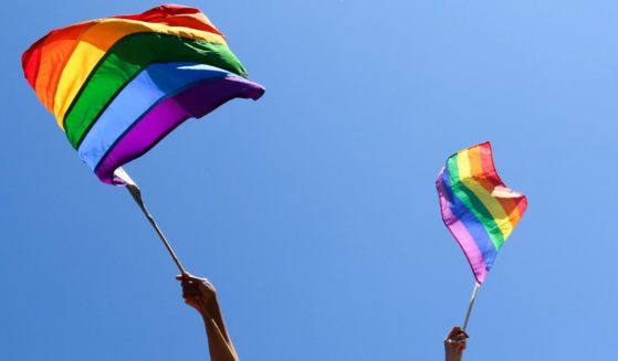 People wave rainbow flags in the above stock image.