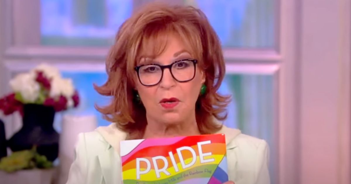 ‘The View’ hosts outraged by crackdown on LGBT porn, propose controversial solution for book bans.