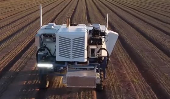 A machine that hunts out weeds using artificial intelligence and zaps them with lasers could save farmers 80 percent over traditional weed-control methods.