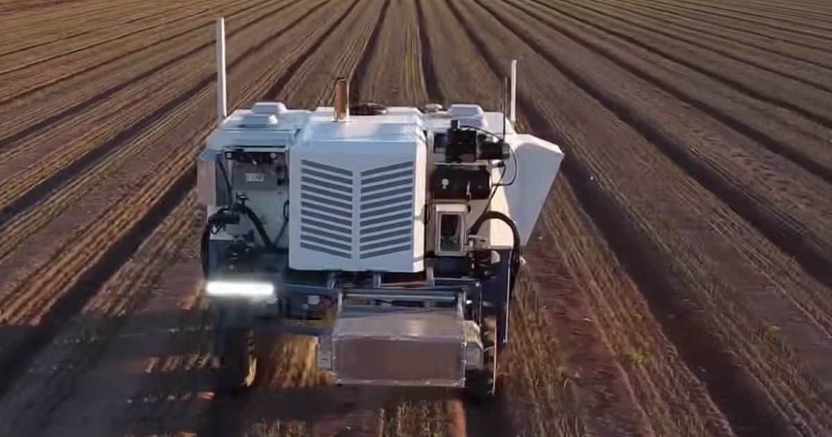 A machine that hunts out weeds using artificial intelligence and zaps them with lasers could save farmers 80 percent over traditional weed-control methods.