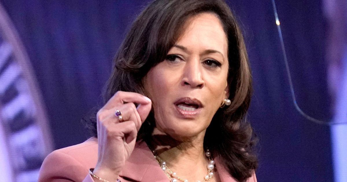 Kamala Harris Humiliated as CNN Panelist Calls Her Out for 'Completely Made Up' Claim