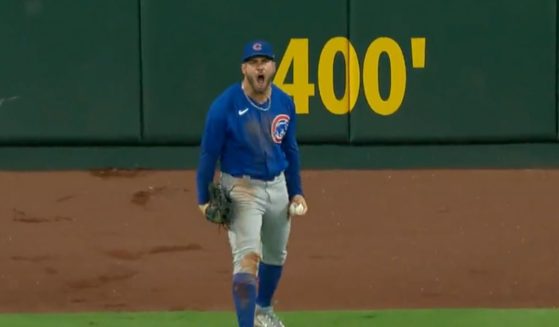 Cubs outfielder Mike Tauchman caught a ball during Friday's game that would have been a home run.