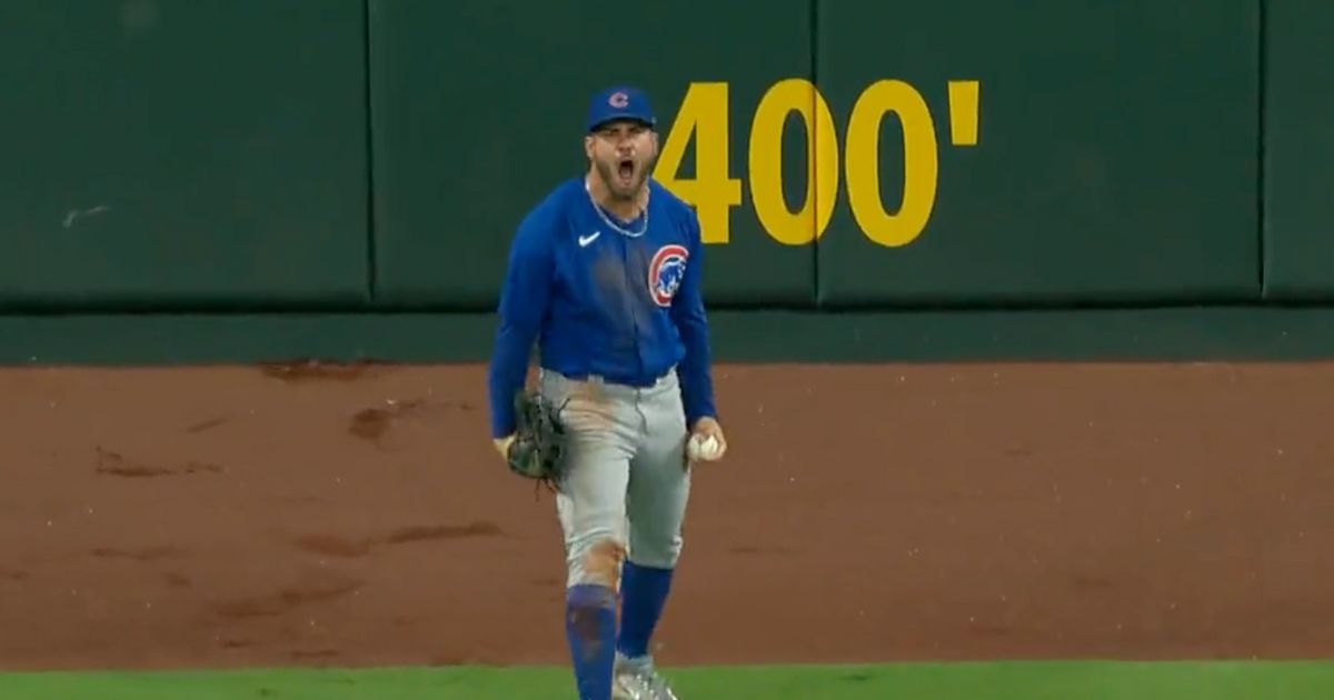 Cubs outfielder Mike Tauchman caught a ball during Friday's game that would have been a home run.