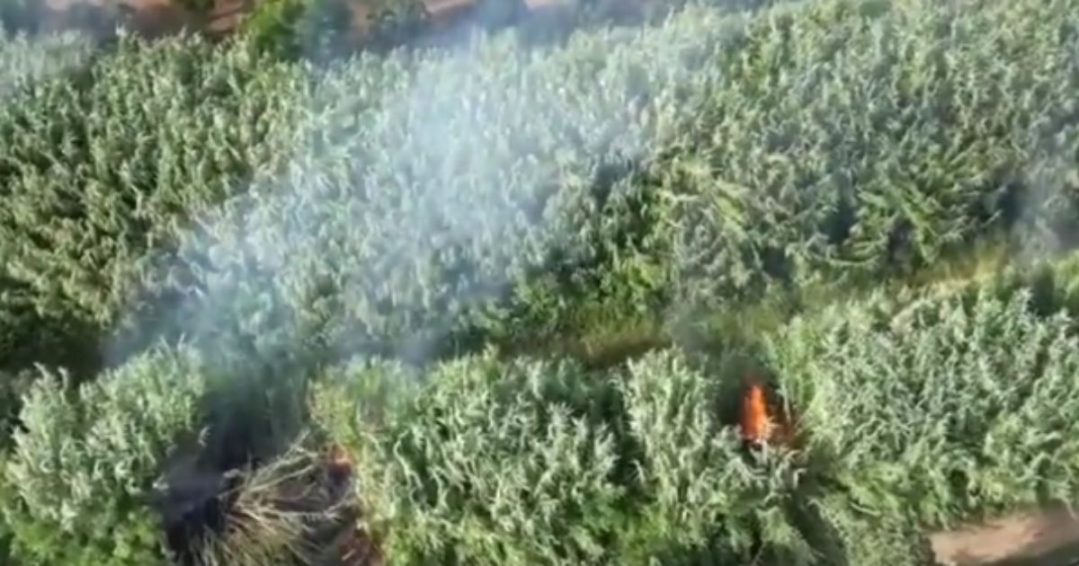 A police drone in Italy shows a man allegedly setting fires.