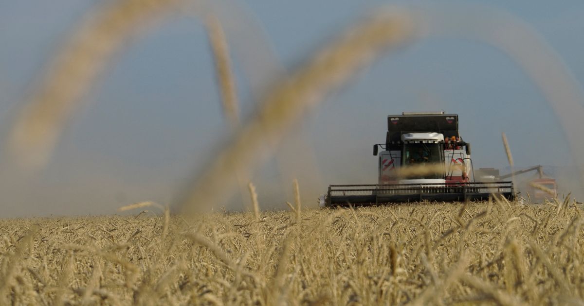 Farmers harvest wheat in the settlement of Nedvigovka in the southern Russian Rostov region on Tuesday.