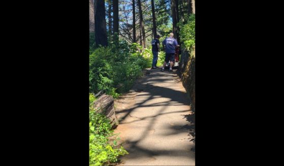 A tweet from Saturday showed the scene of a fatal hiking accident near Multnomah Falls in Oregon.