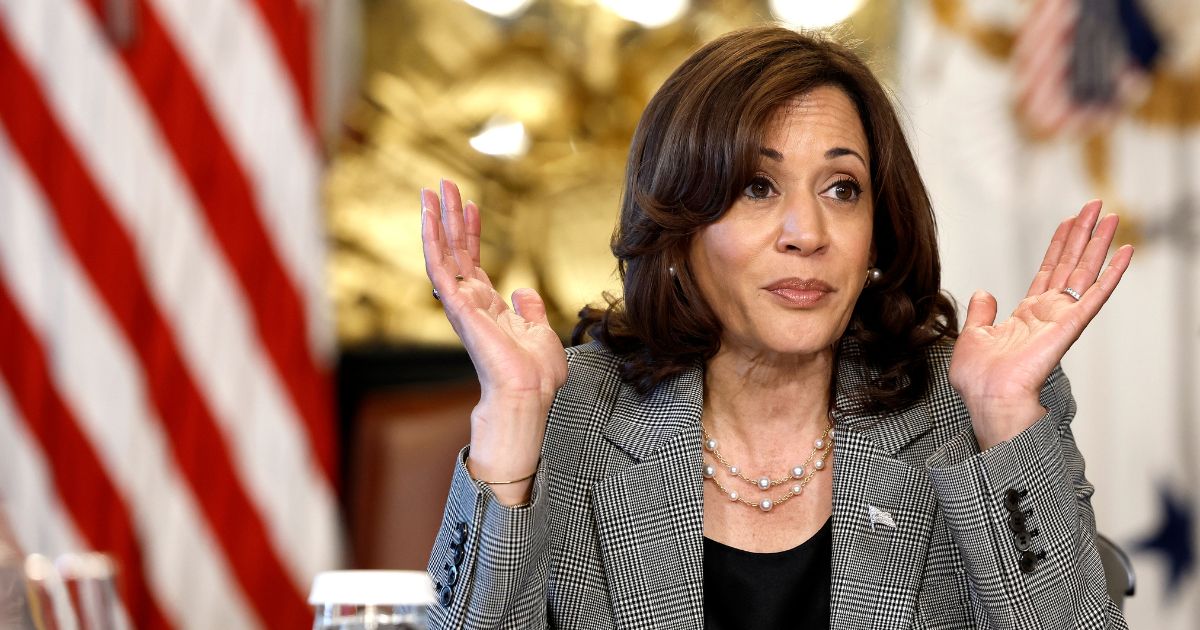 Kamala Harris mocked for her stance on flights in America: ‘What’s she even saying?’