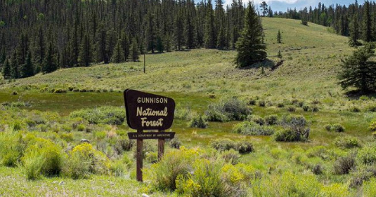 A sign for Gunnison National Forest in Gunnison County, Colorado.