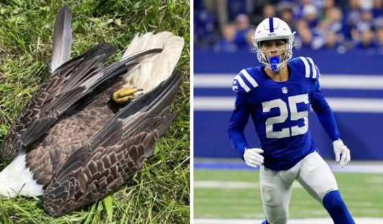 The bald eagle, left, was fatally shot in May. At right, Rodney Thomas II #25 of the Indianapolis Colts is seen in a file photo from October 2022. Thomas' father has been indicted in connection with the eagle's death.