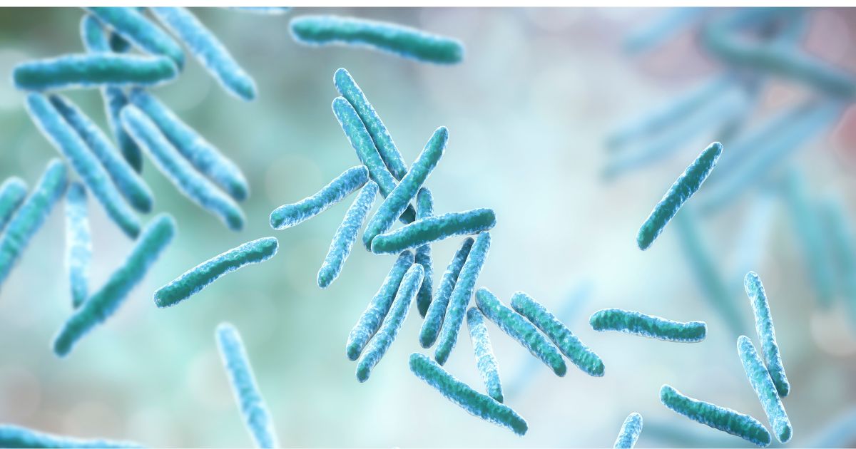 Actions that can be traced back to Joe Biden’s faulty border policies have effects that include bacterial infections entering the country across our borders and endangering Americans.