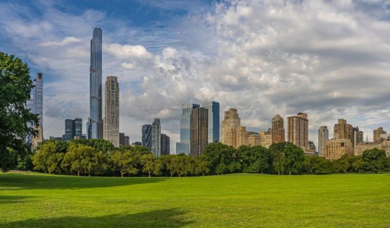 New York City's Central Park is photographed in the summertime, with the city skyline in the background.