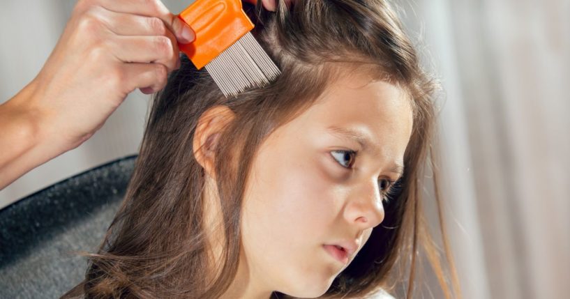 This stock photo shows a mother using a comb to search her daughter's hair for head lice. Recently, one vegan mother chose not to kill the lice nesting in her daughter's hair, sparking shock and criticism.