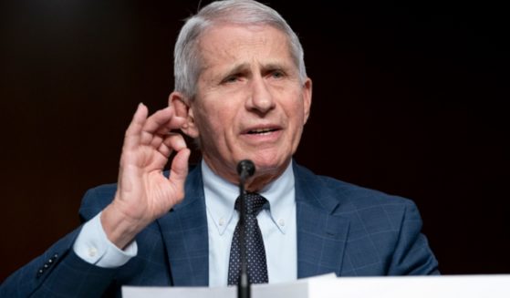 Dr. Anthony Fauci, then-director of the National Institute of Allergy and Infectious Diseases, is pictured in a Jan. 11, 2022, file photo testifying before a Senate commitee.