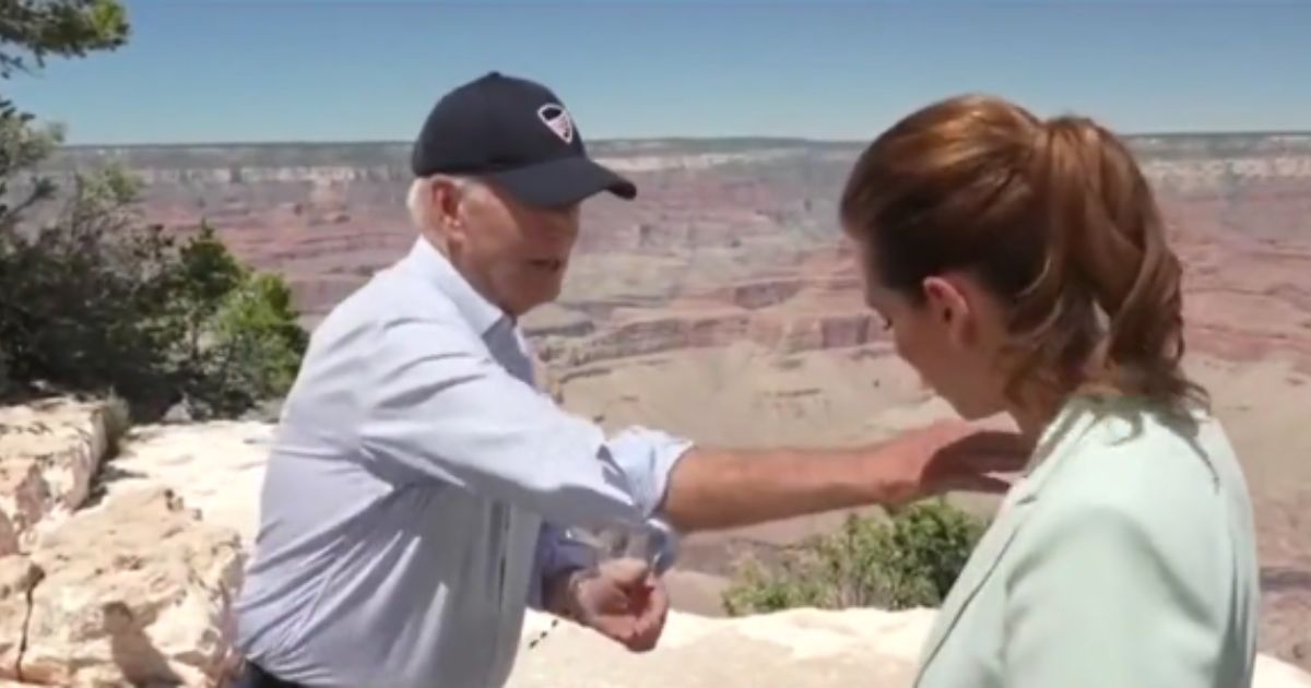 President Joe Biden brushes a bug off of a reporter on Tuesday at the Grand Canyon.