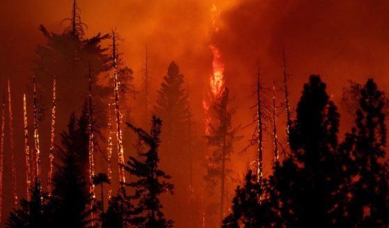 A forest is incinerated by the Oak Fire near Midpines, northeast of Mariposa, California, on July 23, 2022. The California wildfire ripped through thousands of acres after being sparked a day earlier, as millions of Americans sweltered through scorching heat with already record-setting temperatures.