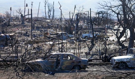 Destroyed homes and cars are shown on Aug. 13 in Lahaina, Hawaii.