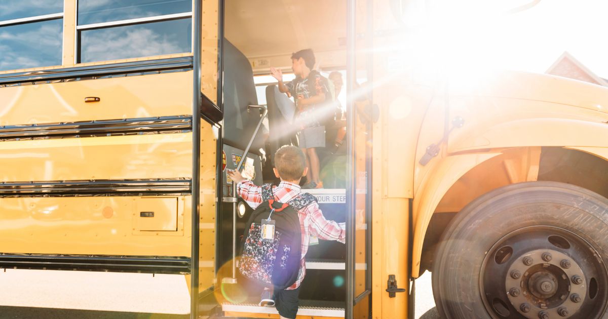 This stock image depicts a young boy getting on a school bus.