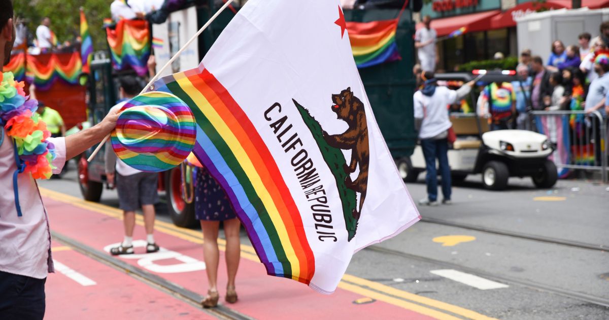A person waves an LGBT version of the California state flag during the San Francisco gay "pride" parade on June 25, 2017.