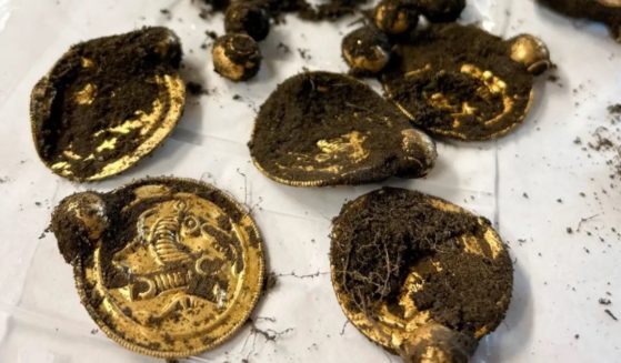 Erlend Bore was out getting exercise in Rennesøy, Norway, when he stumbled across the "archaeological find of the century," which included these gold medallions.