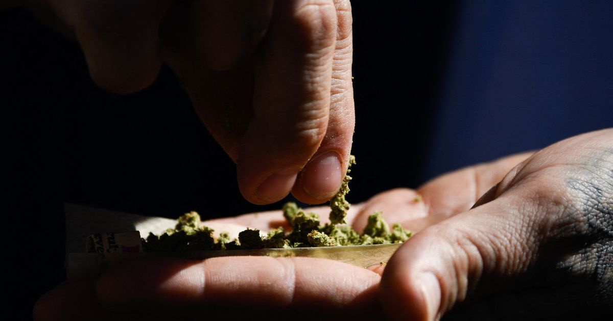 A person rolls a joint during the Mile High 420 Festival in Denver, Colorado, in a file photo from 2022. More than ten years after its legalization, medial studies have found many detrimental effects of marijuana smoking.