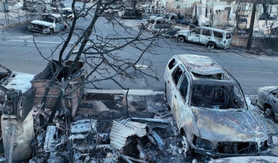 Burned cars and homes are seen in a neighborhood that was destroyed by a wildfire on August 8, in Lahaina, Hawaii. At least 111 people were killed and thousands were displaced after a wind-driven wildfire devastated the towns of Lahaina and Kula on the island of Maui. One man filed a lawsuit Monday, alleging officials' negligence caused his daughter's death.
