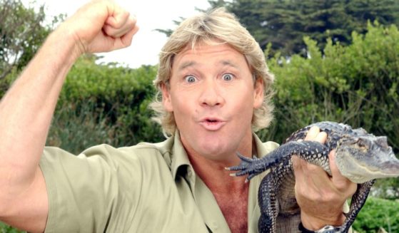 Steve Irwin, poses with a three foot long alligator at the San Francisco Zoo in San Francisco, California, on June 26, 2002.