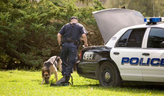 This stock image shows a police dog sniffing a backpack.
