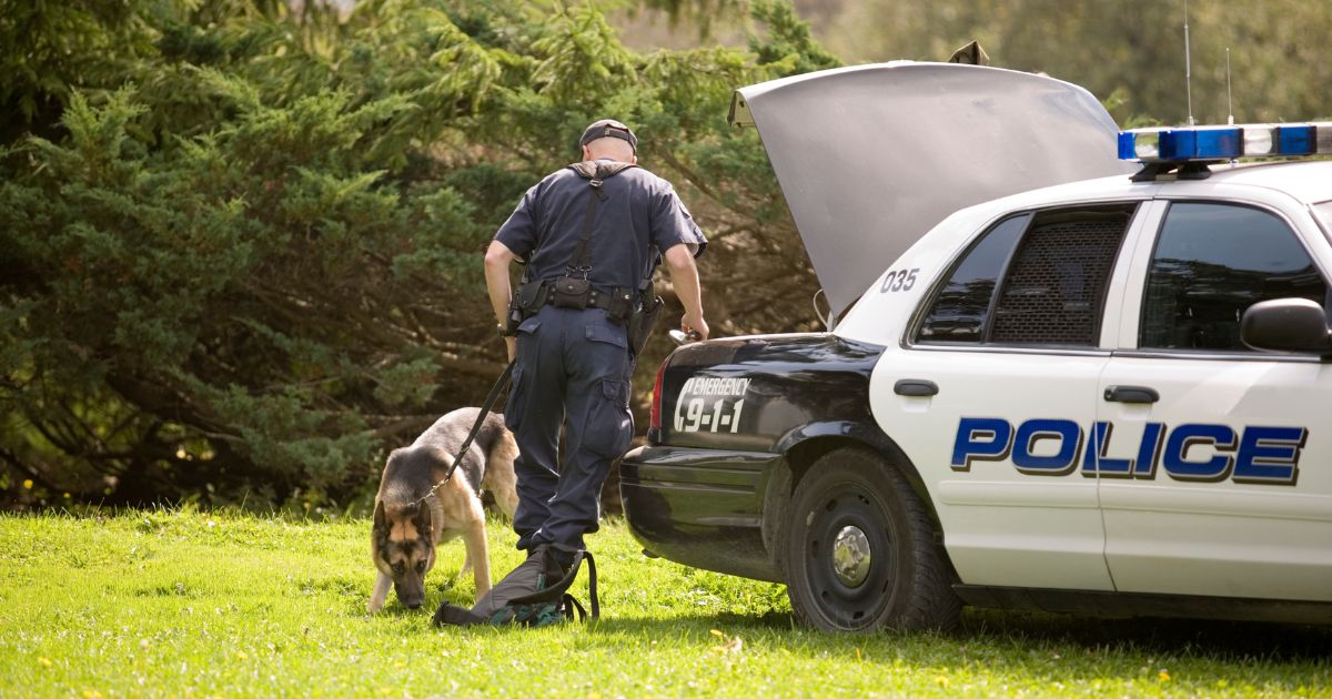 This stock image shows a police dog sniffing a backpack.
