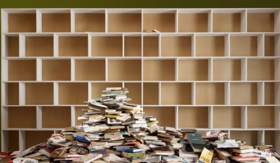 The above stock image is of empty bookshelves.