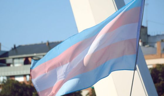 The above stock image is of a transgender flag.