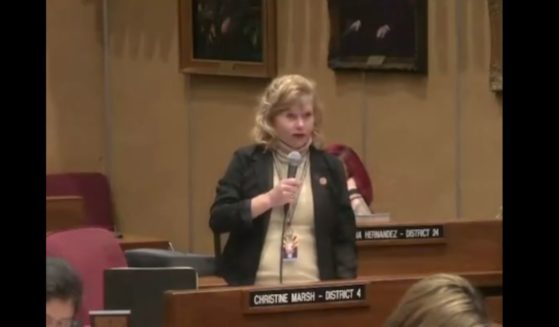 Democratic Sen. Christine Marsh of Arizona speaks in a February meeting.