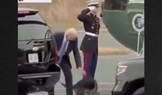 Many have said the video circulating on the internet shows President Joe Biden kicking his dog.