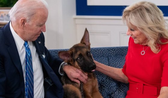 President Joe Biden and first lady Jill Biden look at their new dog, Commander, at the White House in Washington on Dec. 25, 2021.